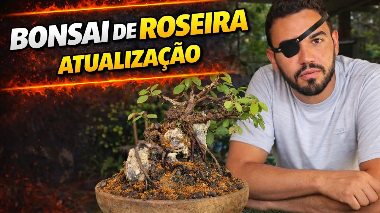 🌹 BONSAI DE ROSEIRA • IMPOSSÍVEL? | 16 ANOS DE EVOLUÇÃO, PEDRA, DRAMA E AUTOCONHECIMENTO 🍃✨