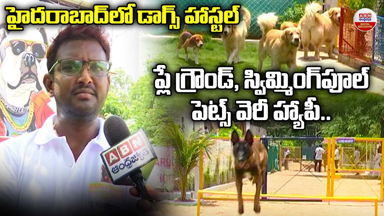 హైదరాబాద్లో డాగ్స్ హాస్టల్ | Happy Dogs Boarding & Training School in Hyderabad | ABN Digital