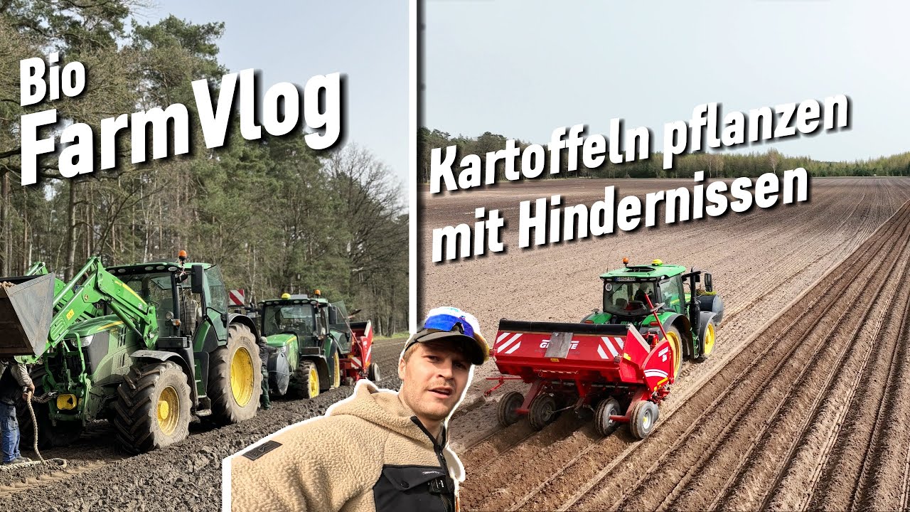 Immer wieder fest🙄 ... Startschuss zum Kartoffeln pflanzen / Vlog 80