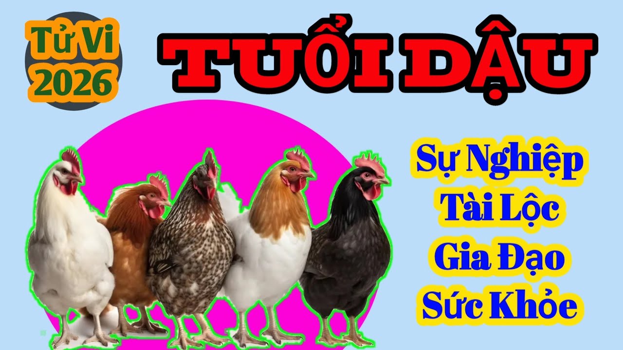 Vận Hạn 2026 - Tuổi Dậu | Tử Vi Tuổi Dậu  năm 2026
