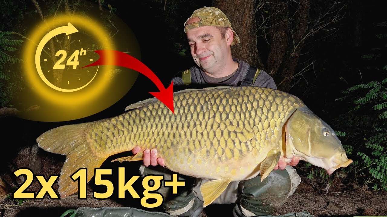 Zemplínska šírava - Lov kapra #lovkapra #rybolov #carpfishing