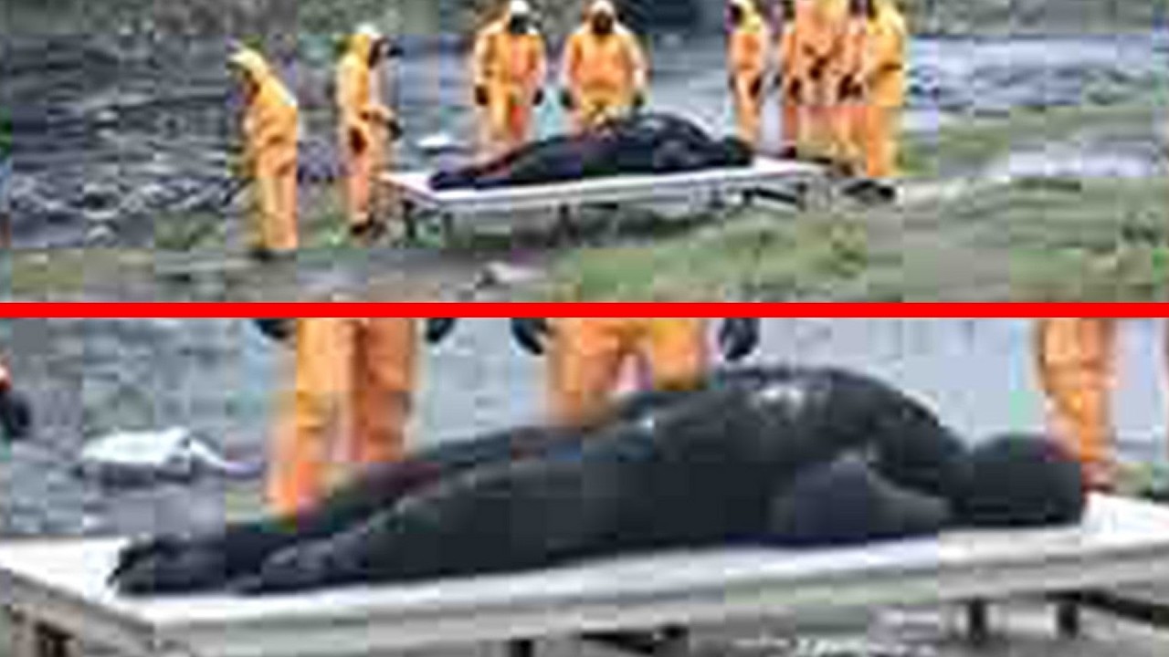 Disturbing Things Captured On Drone Cameras No One Can Explain - Part 2
