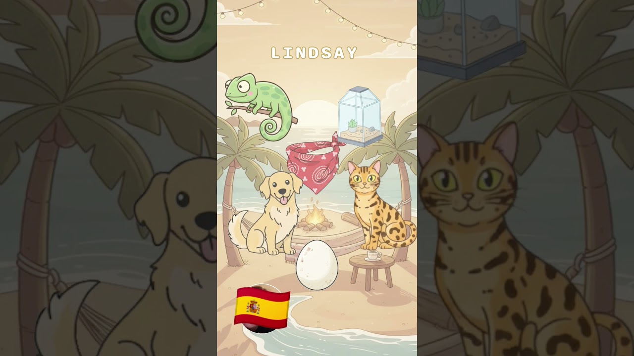 mettez votre prénom en commentaire