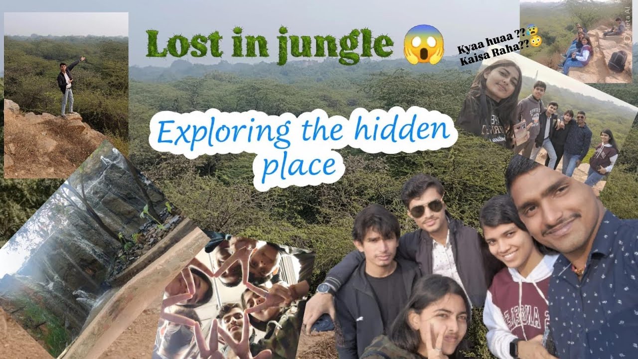 “Hidden Forest in Delhi | An Unexpected Experience” 🌿