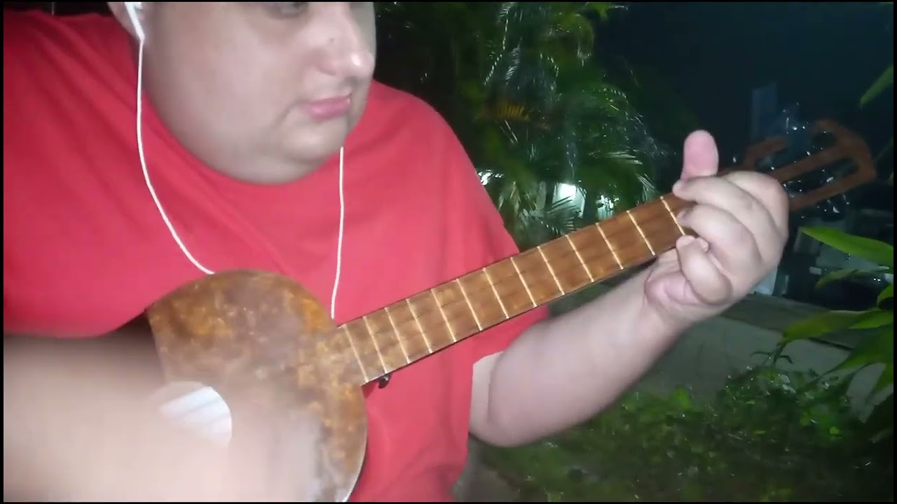 Reynaldo Armas - Todos Tenemos Derecho (cuatro cover)
