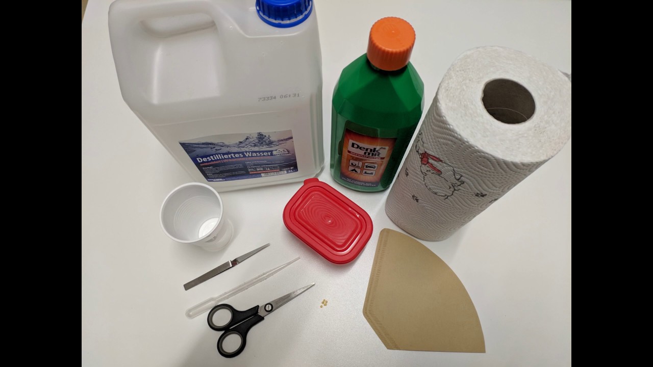 Keimbox Methode