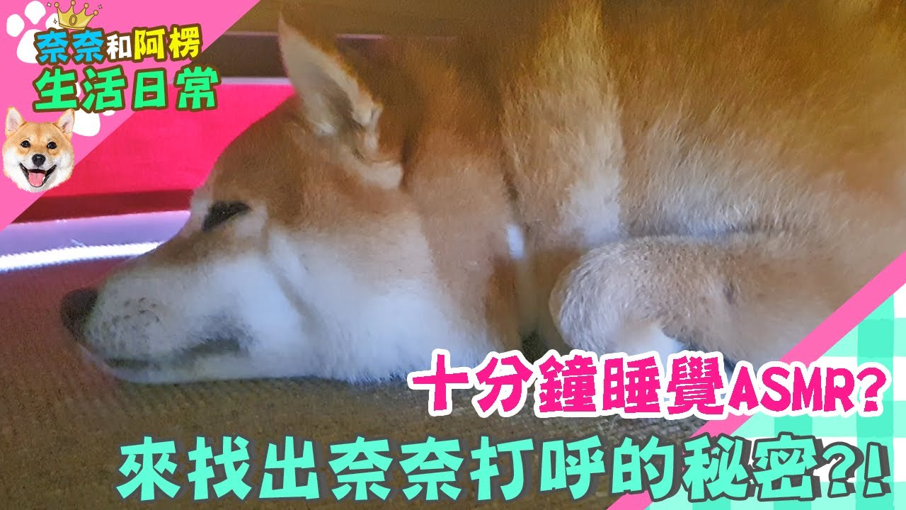 十分鐘睡覺ASMR?來找出奈奈打呼的秘密?!【奈奈日常】