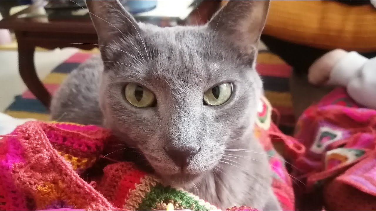 NanaCrochet & Namasté 🕉️ está en vivo