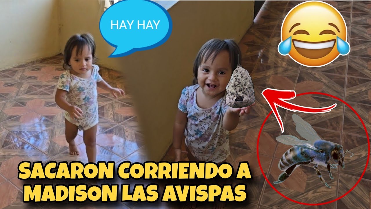 Miren lo tremenda que es Madison, 🤣🇸🇻😍 Provocando las Avispas 🤣🇸🇻