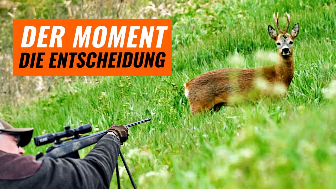 Pirschjagd auf Bock – Starker Anblick, echte Spannung