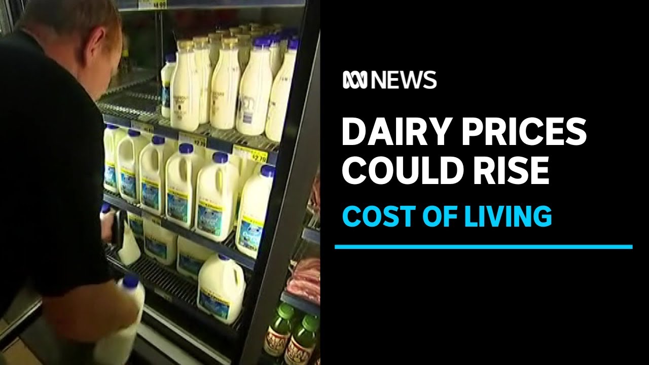 Prices could rise as dairy farmers feel rising production costs | ABC News