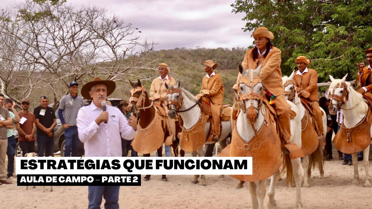 Manejo Ecológico de Pastagens – Parte 2 | Estratégias Práticas com Guto Trindade