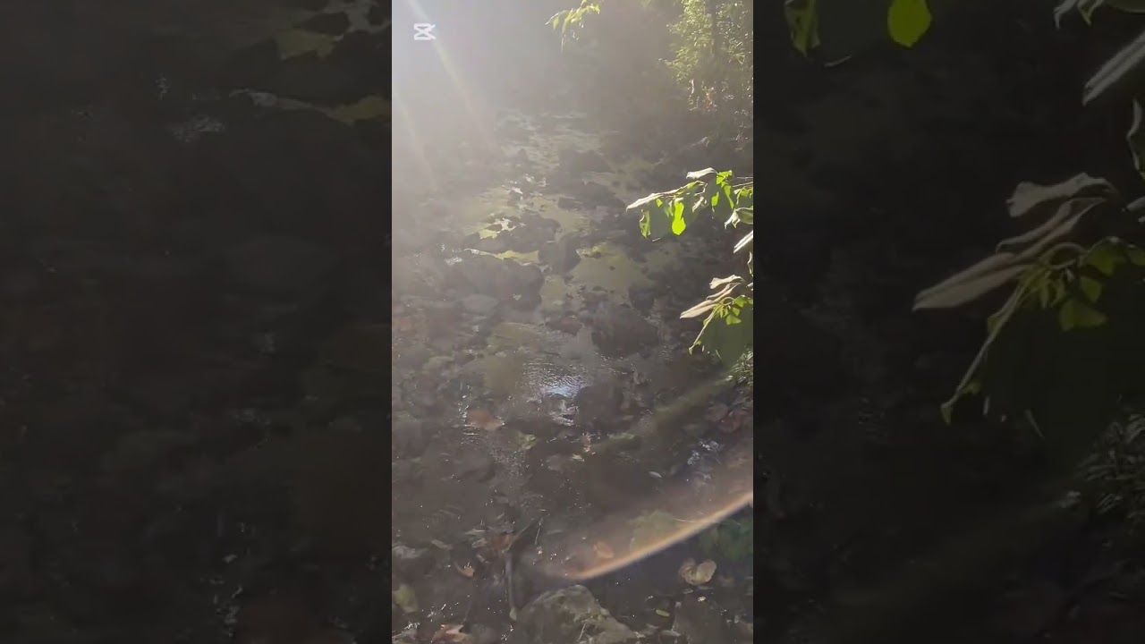 Amazing looking creek or small stream 