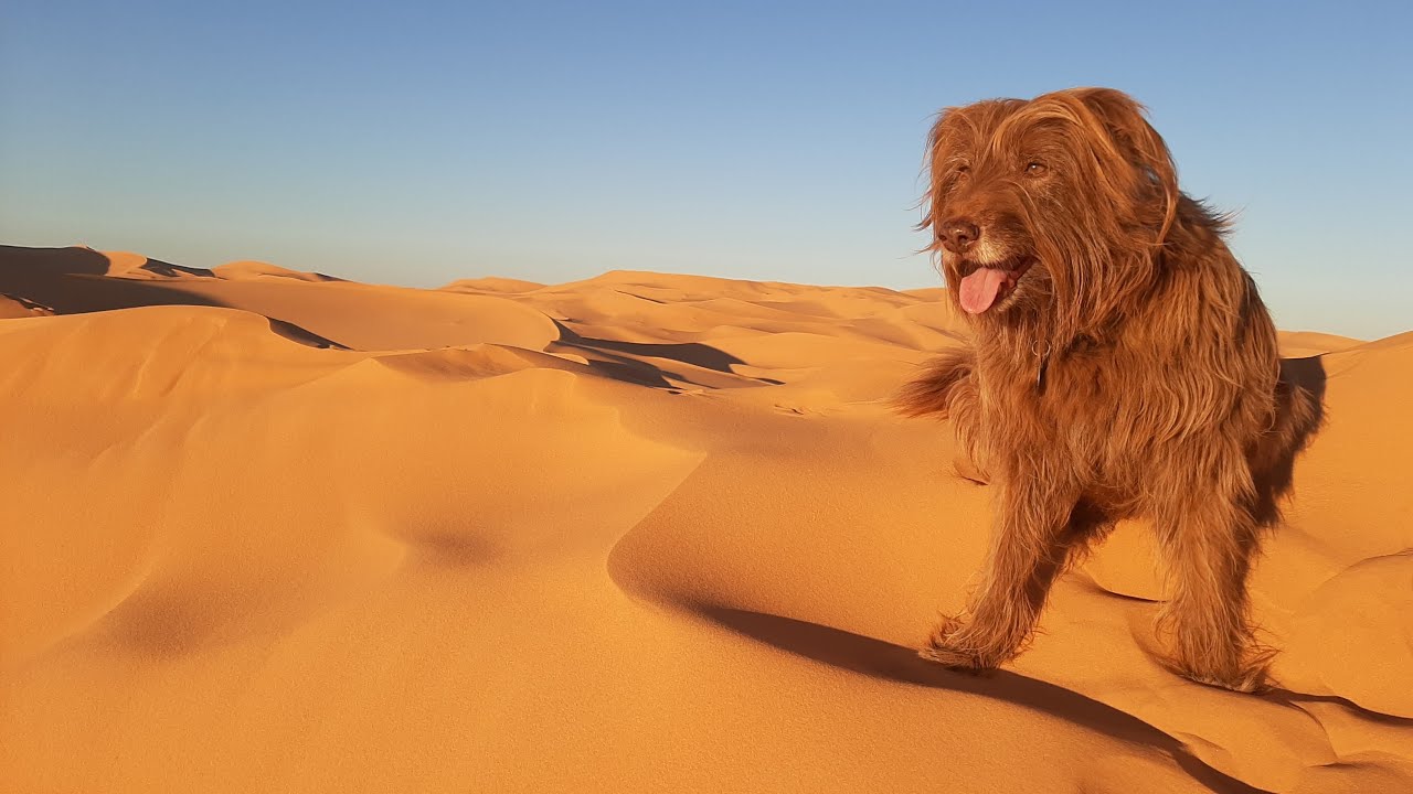 Algeria  da Algeri a Ghardaia