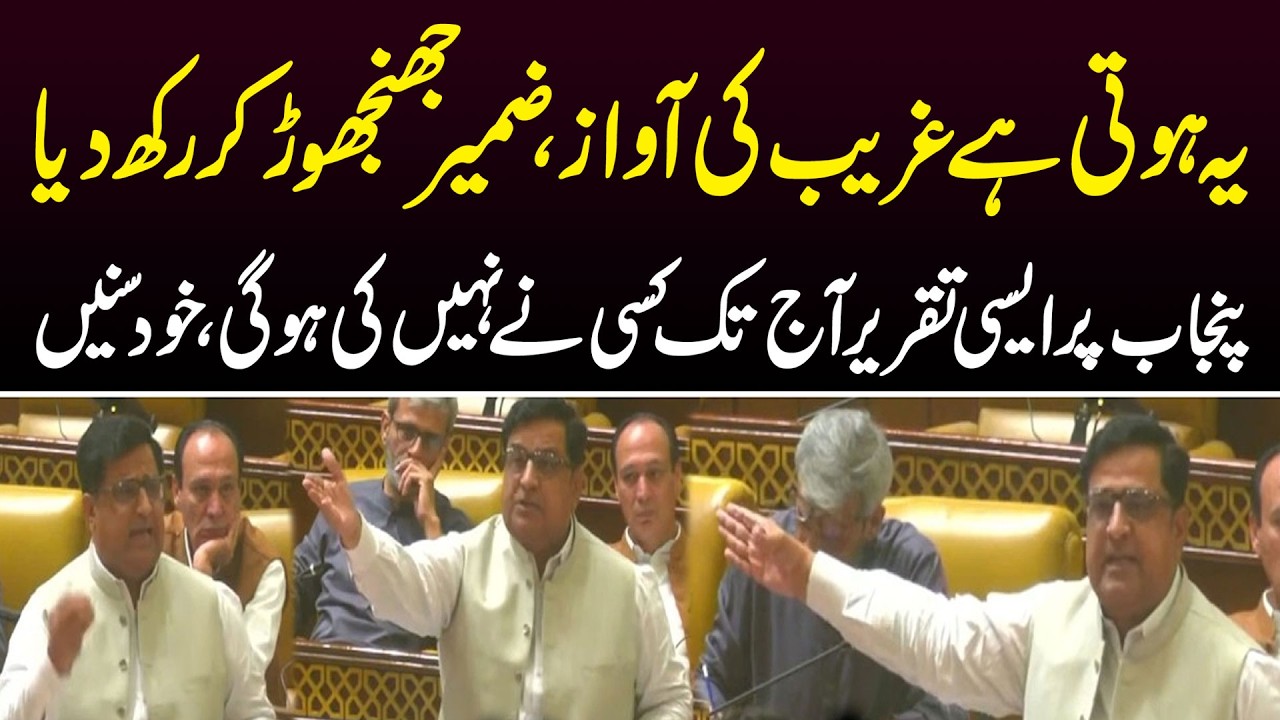 PTI Leader Nadeem Qureshi Emotional Speech in Punjab Assembly | Public News