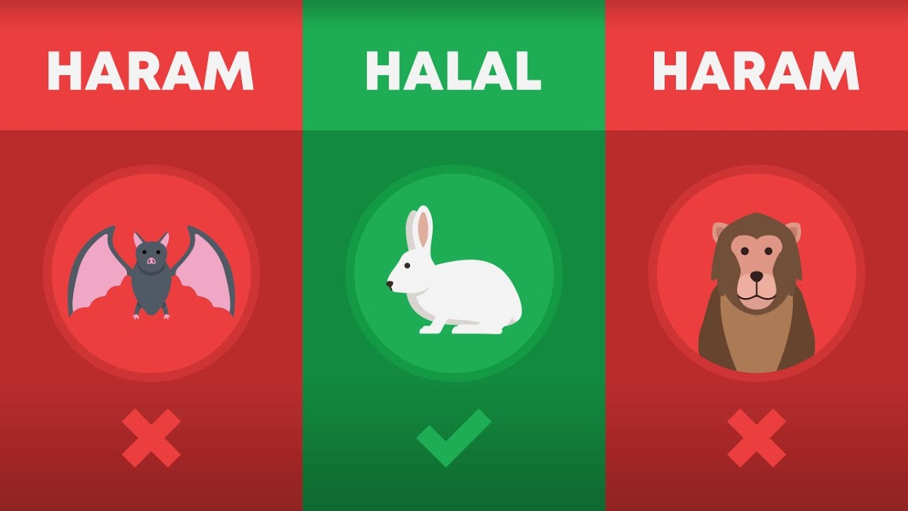 Halal and Haram Animals in Islam