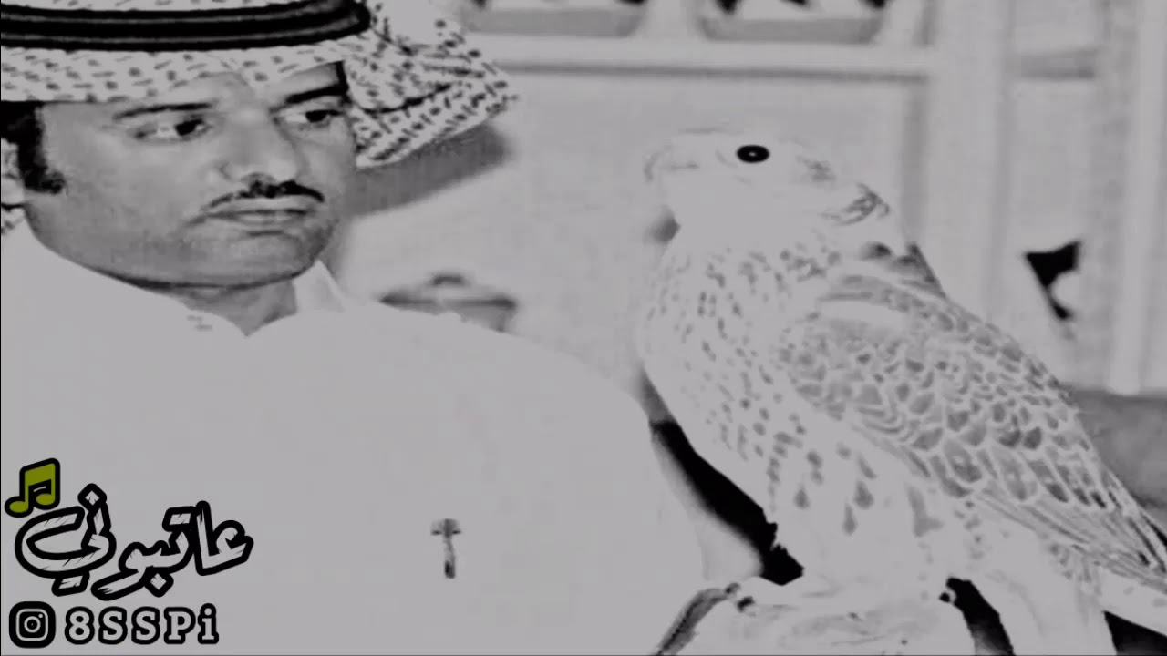 #قصــيد