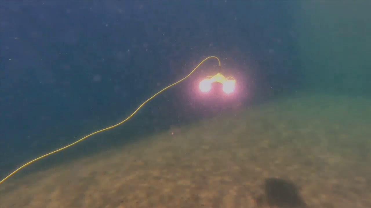 Trident and Gladius having a swim