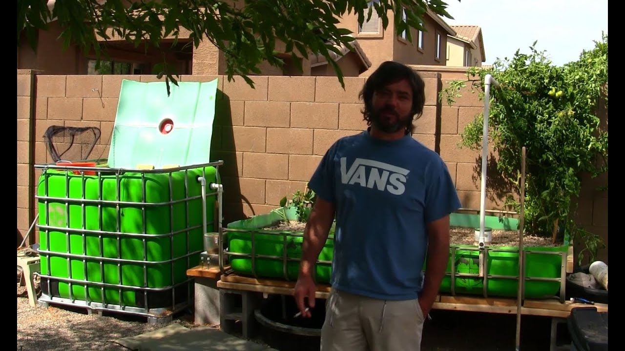 NEW IBC Aquaponics Build