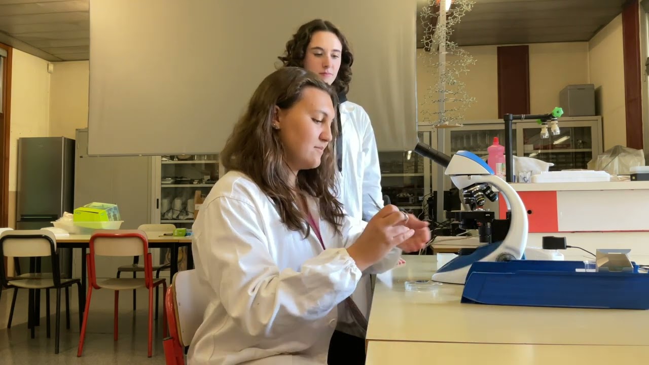 Osservazione al microscopio di una lettera di giornale