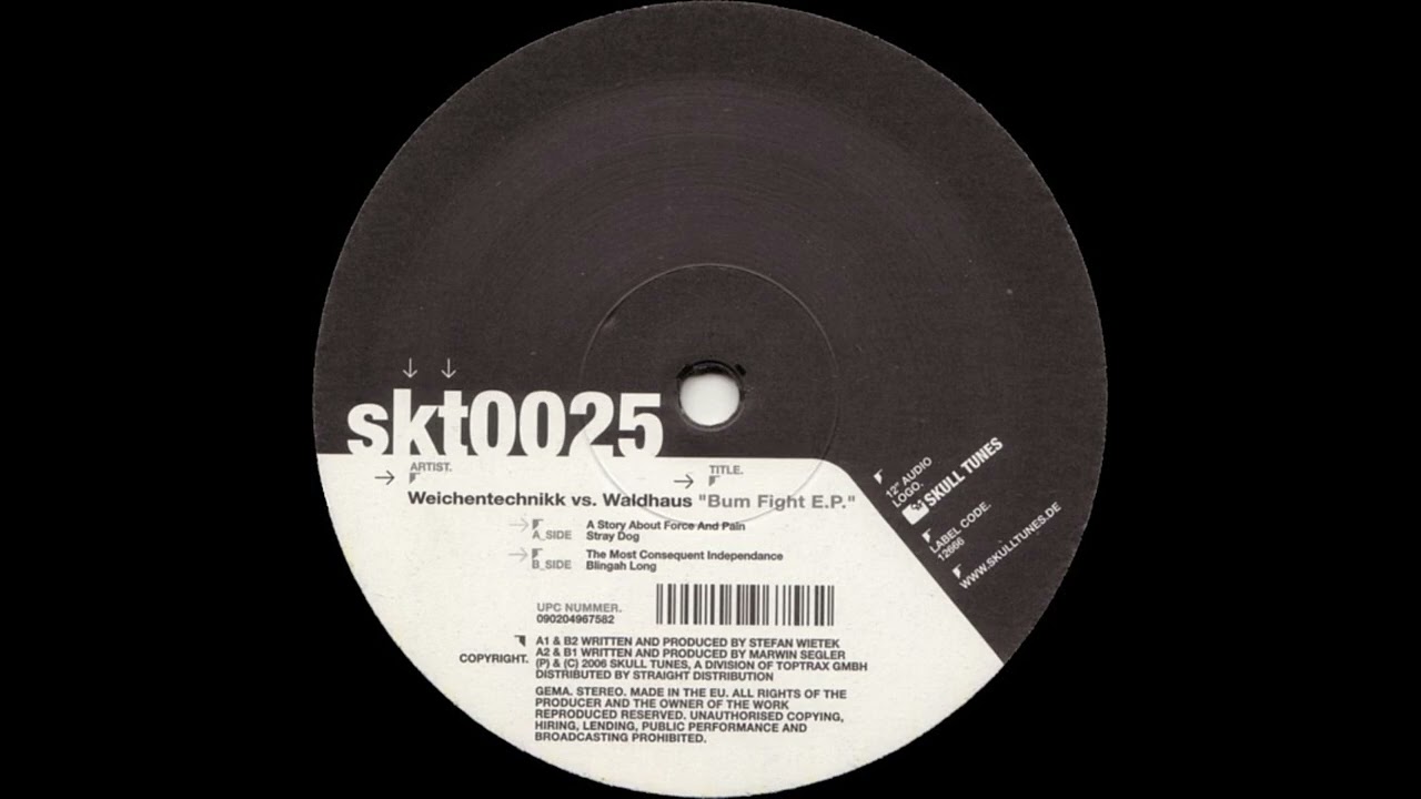 Waldhaus - Stray Dog