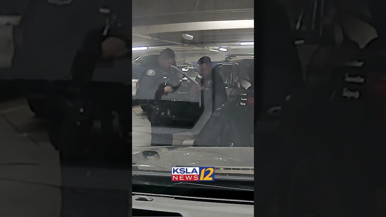 Dashcam video shows cop accidentally shooting fellow officer during &lsquo;horseplay&rsquo;