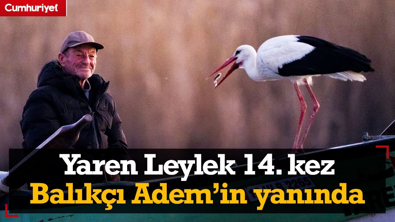 Dostluk kaldığı yerden devam ediyor... Yaren Leylek 14. kez Balıkçı Adem’in yanında