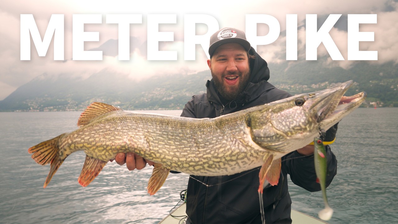 Сезон ловли щуки 2026 | STUCKI FISHING