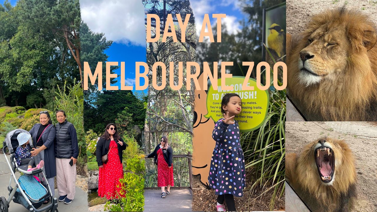 MELBOURNE ZOO VLOG | NEPALI EDITION | PREKXA BEAUT