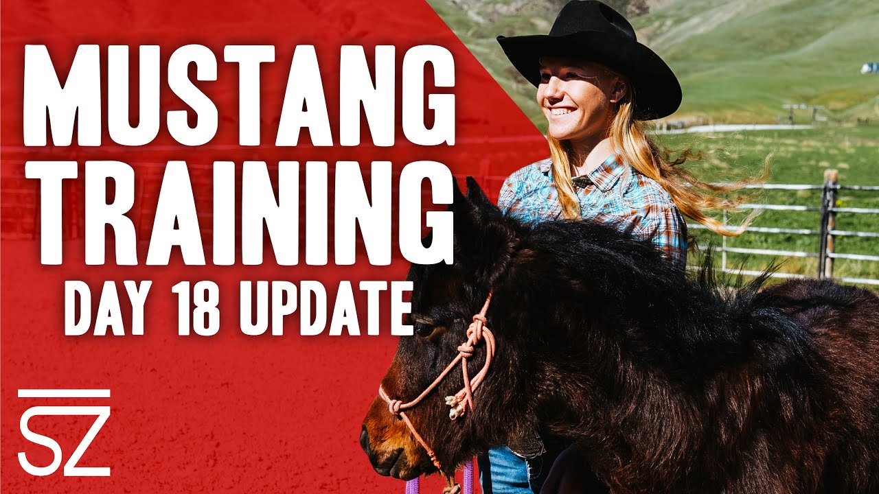 Training Wild Mustangs | 18 Day Training Update with Kailey