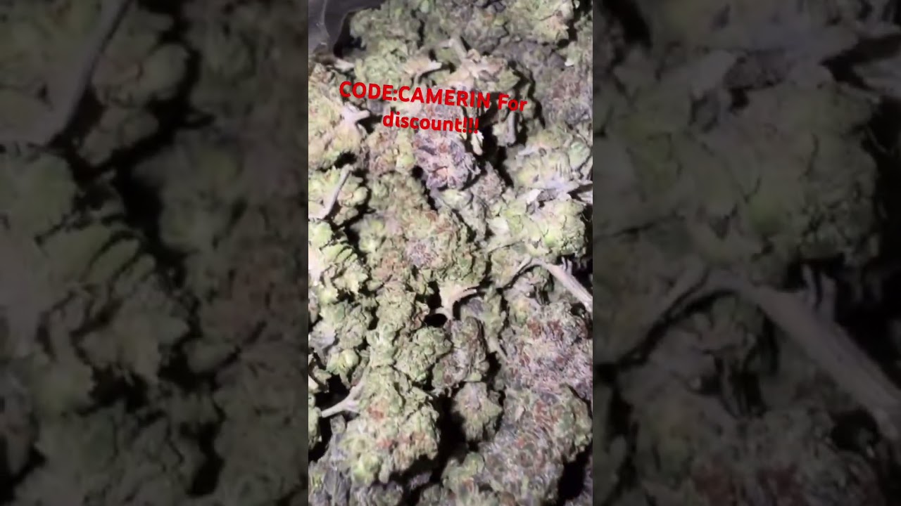 THCA SMALL BUDS.COM cheap pound dolato great for the price !! PROMO CODE: CAMERIN