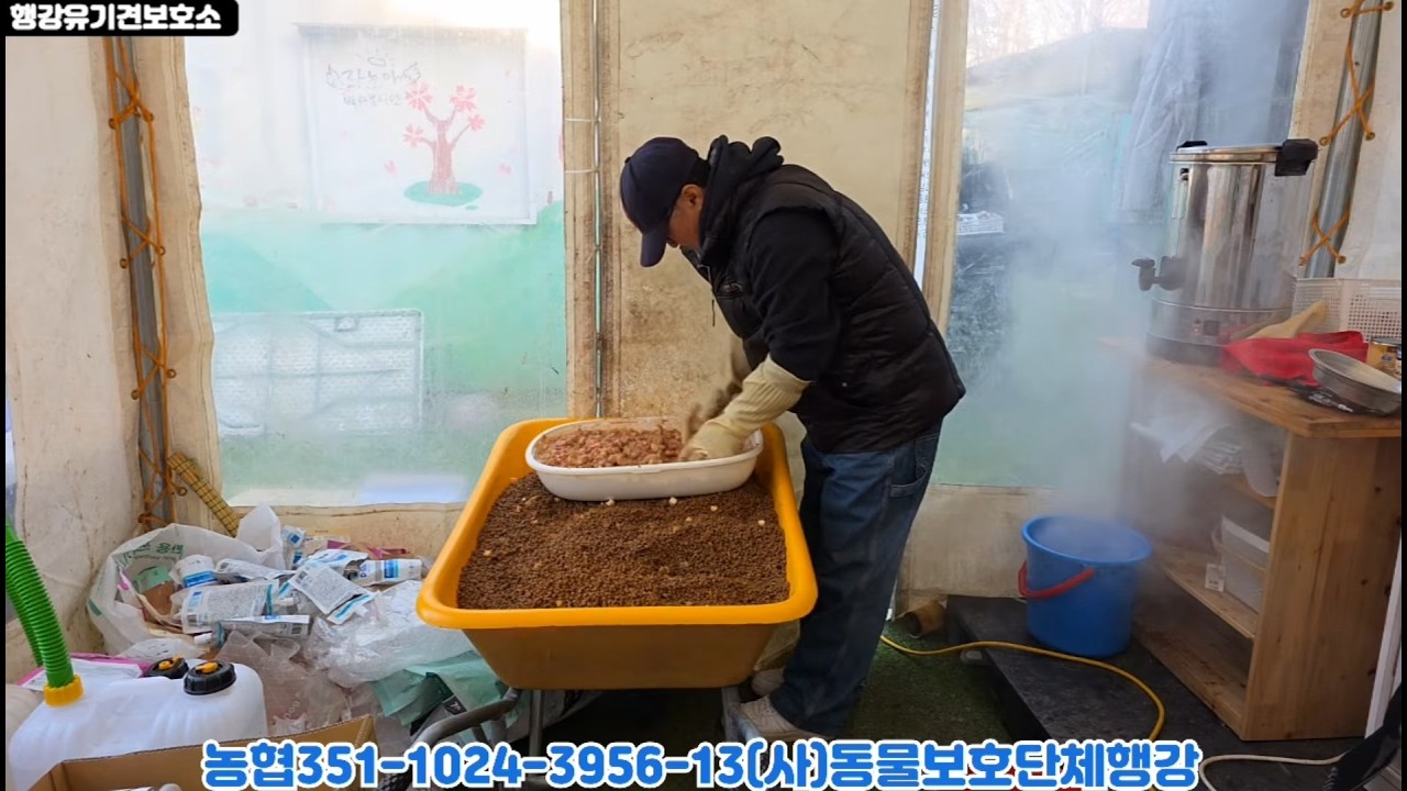 유기견보호소 급식준비 라이브.  #밥묵자 #유기견보호소 #유기견 #유기견입양 #강아지 #반려견 #동물보호