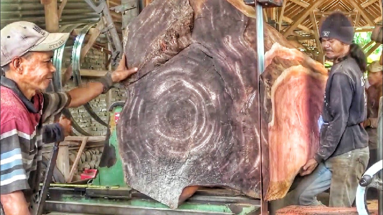 Cutting a massive log into beautiful solid wood planks at the sawmill