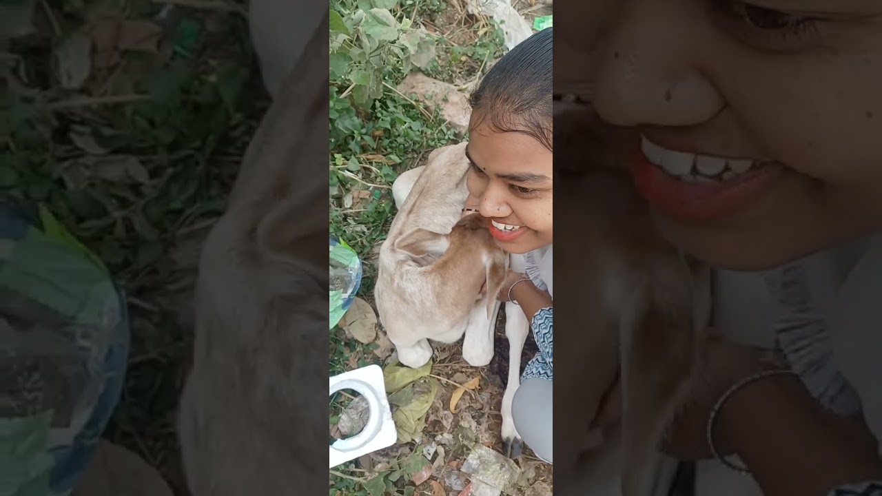 guys video ko Pura dekhna Anu ke sath kiya hua 😭😭