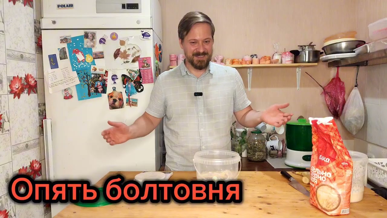 Лучший способ восстановления испорченной закваски для хлеба. Как быстро восстановить закваску.