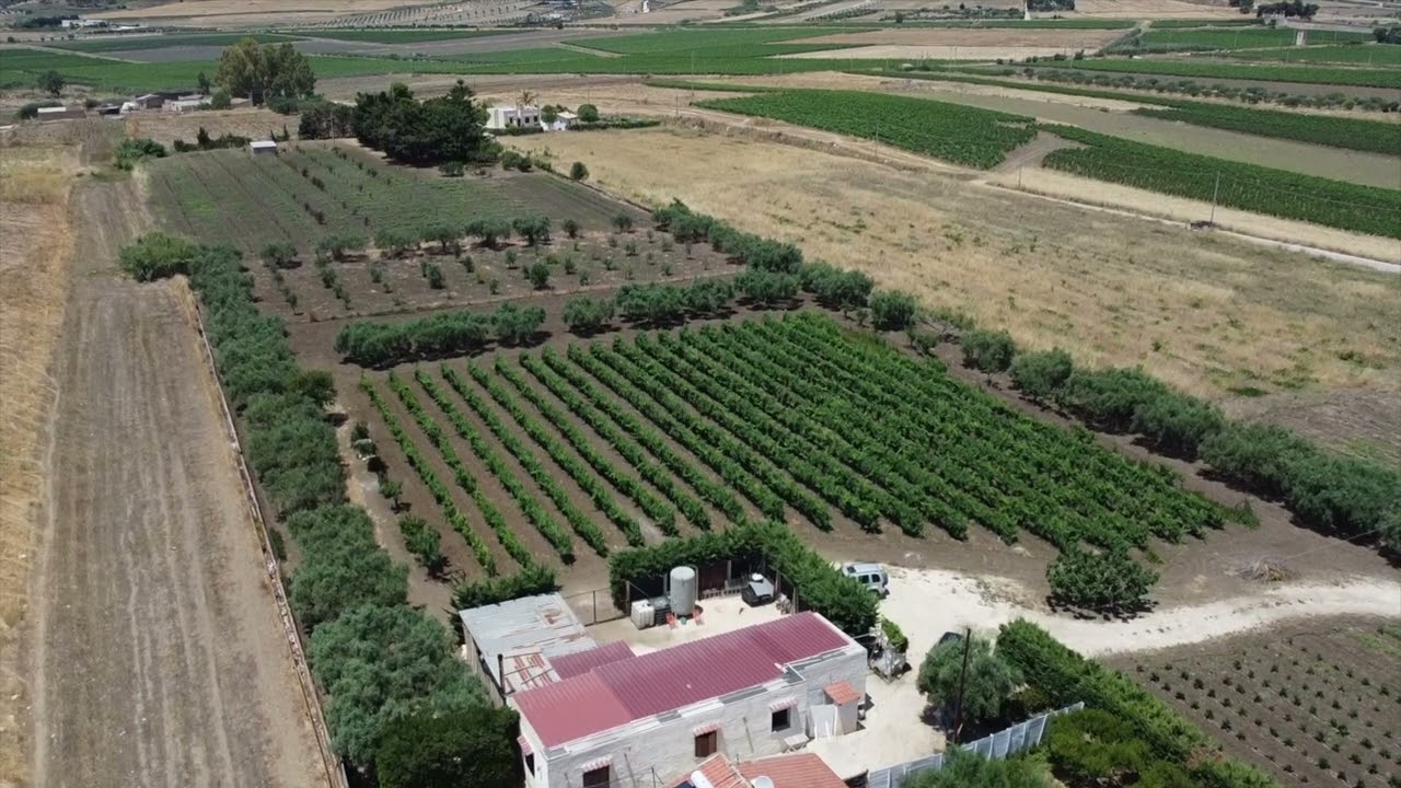 Italy - Menfi, Sicily (June 2022)