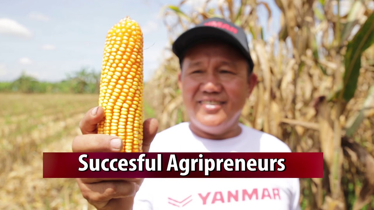 Agripreneur: Agriculture and Entrepreneur in one