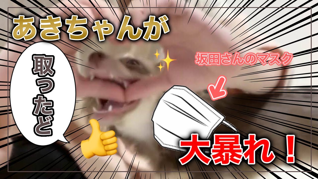 【うらさか】エンターテイナーなあきちゃんにやられる坂田さん【切り抜き/文字起こし】