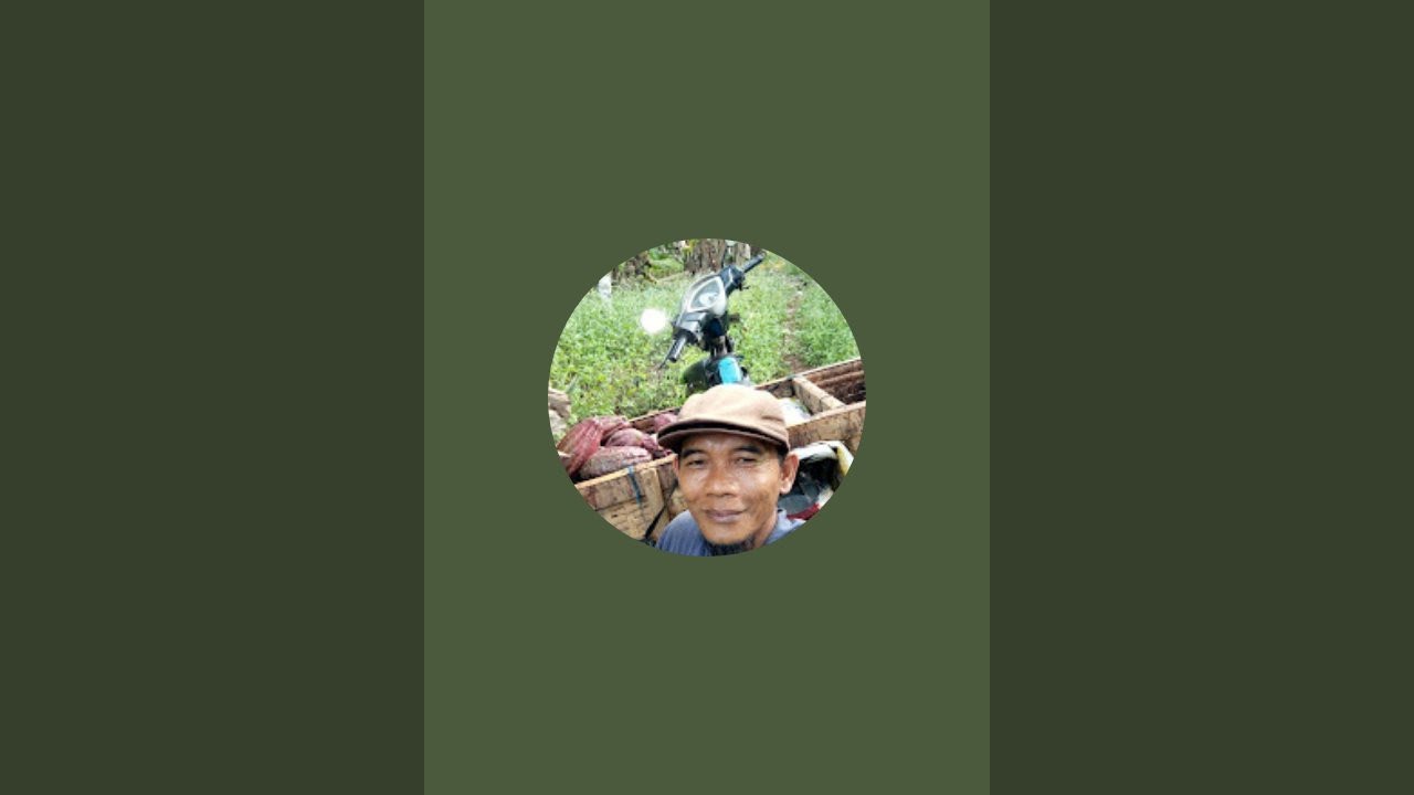ngambil daun pisang di kebun @kang erfa78 sedang live sekarang!