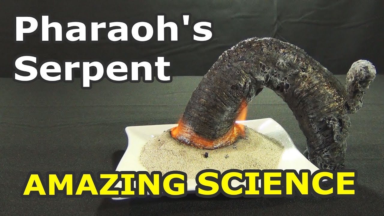Pharaoh's Serpent from Soda and Sugar - science experiment you can do at home
