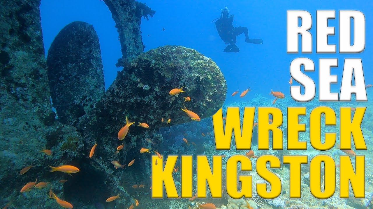 Scuba Diving Wreck Drift of the Red Sea | Kingston & Shag Rock 🇪🇬