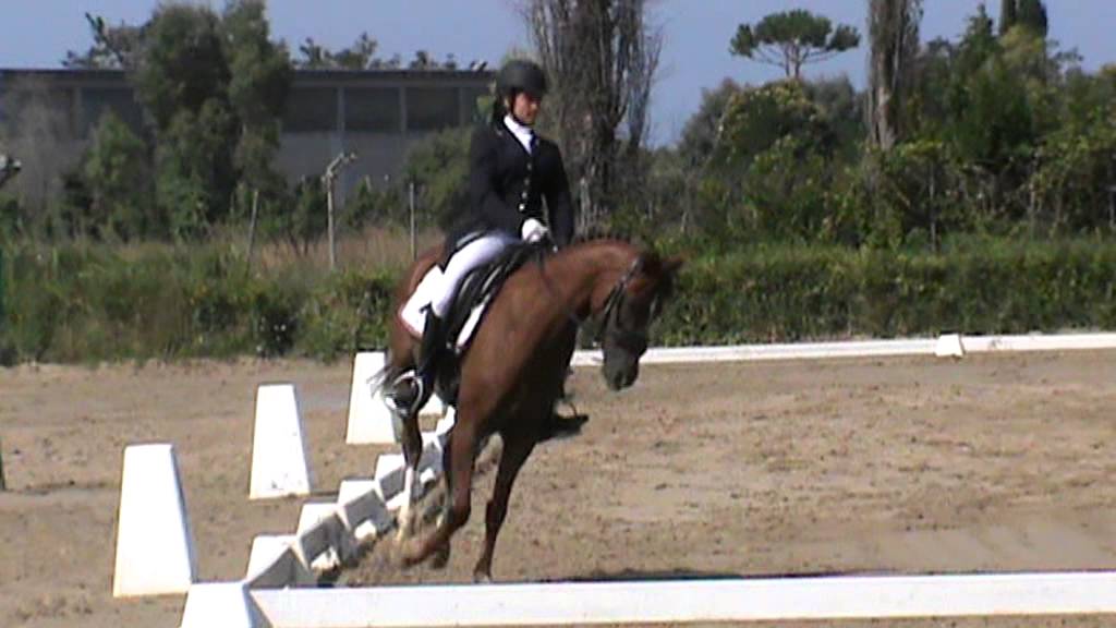 Dressage E 300 Elisa Sibio e Dragobool