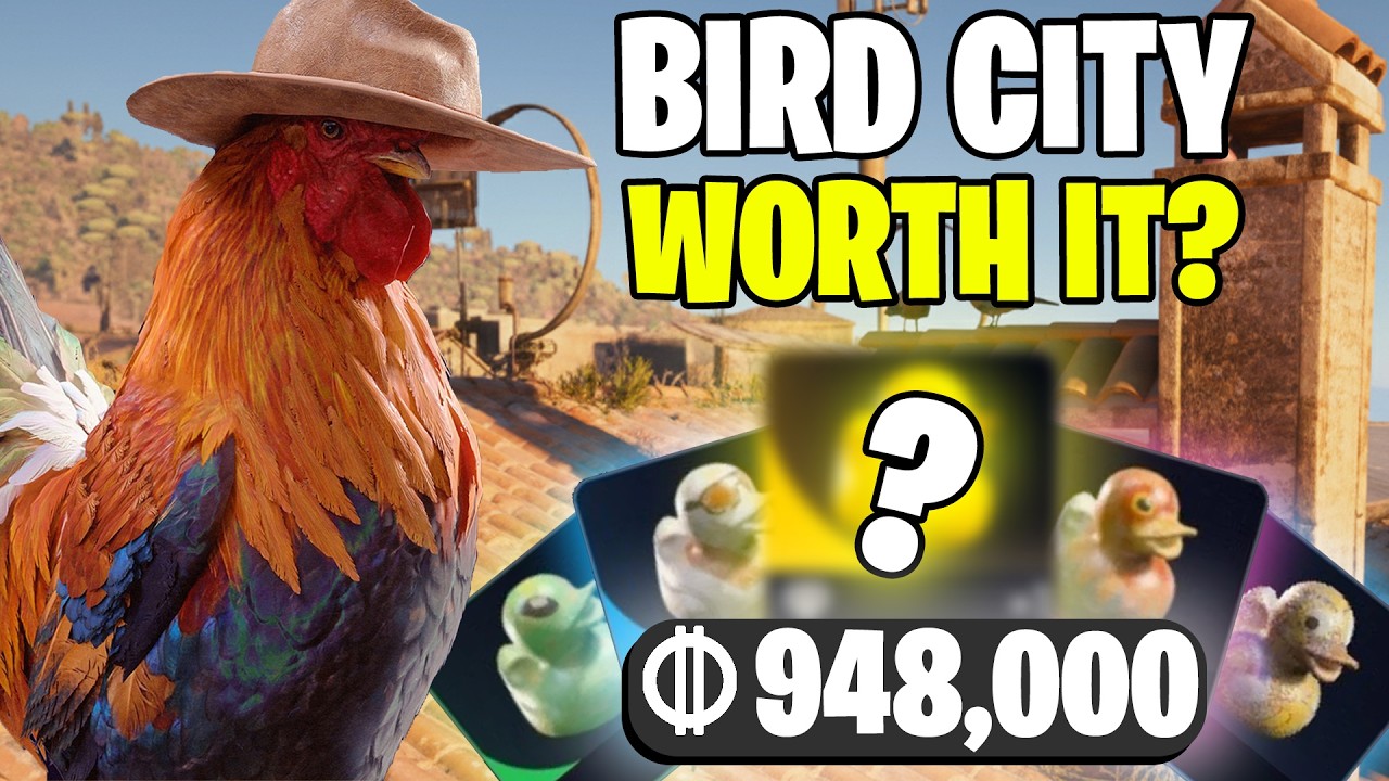 Is Bird City Really Worth It? The Answer Will Surprise You...