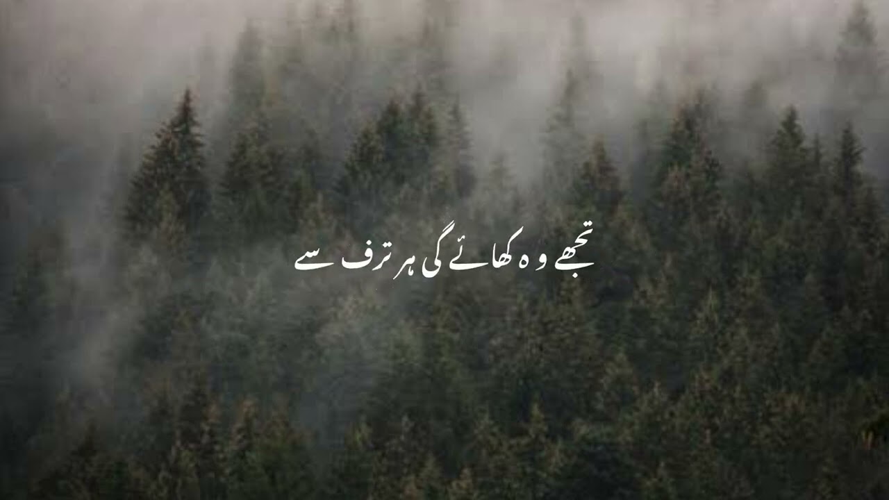28 December 2024