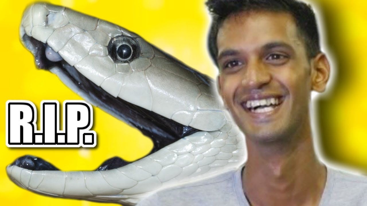 FATAL BLACK MAMBA BITE!!! RIP Ryan | BRIAN BARCZYK