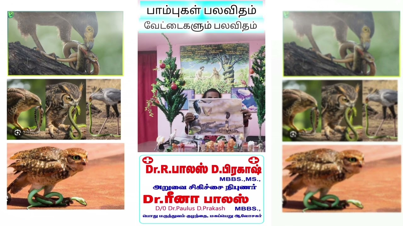 பாம்புகள் பலவிதம் வேட்டைகளும் பலவிதம் 