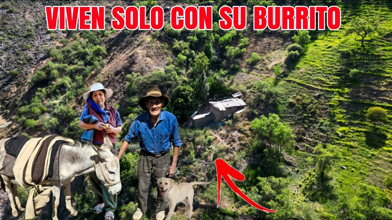 Esta PAREJA decidió VIVIR SOLO en las profundidades de los Andes,  LEJOS de la CIVILIZACIÓN 