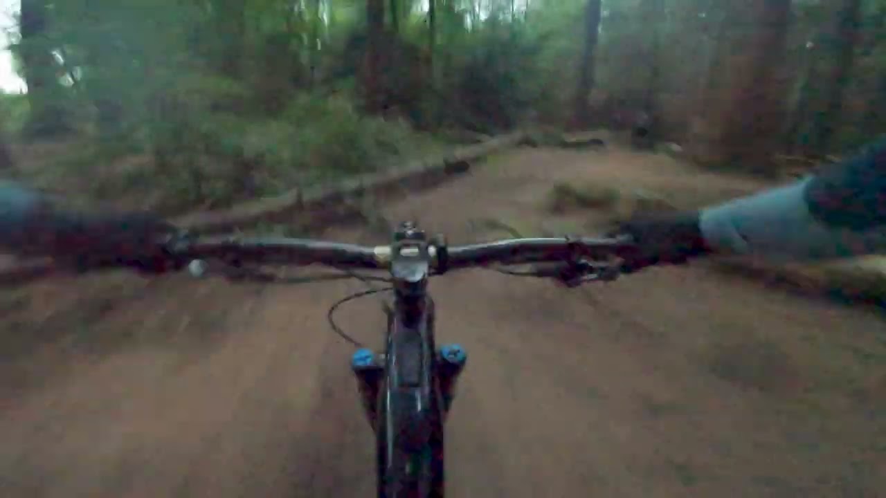Kinneil Wood, Falkirk Mountain Bike Trails I