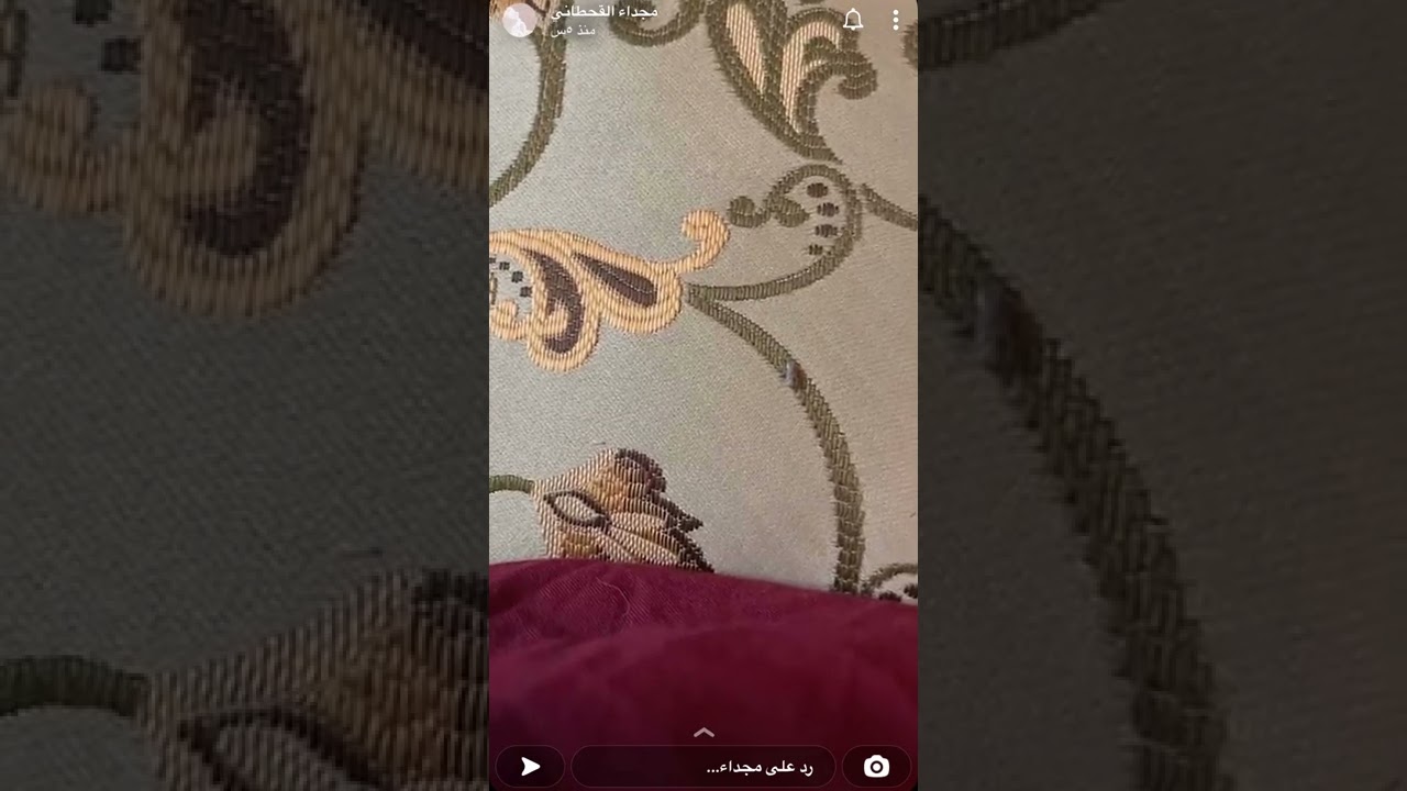 مجداء القحطاني تتكلم عن دعوة المظلوم