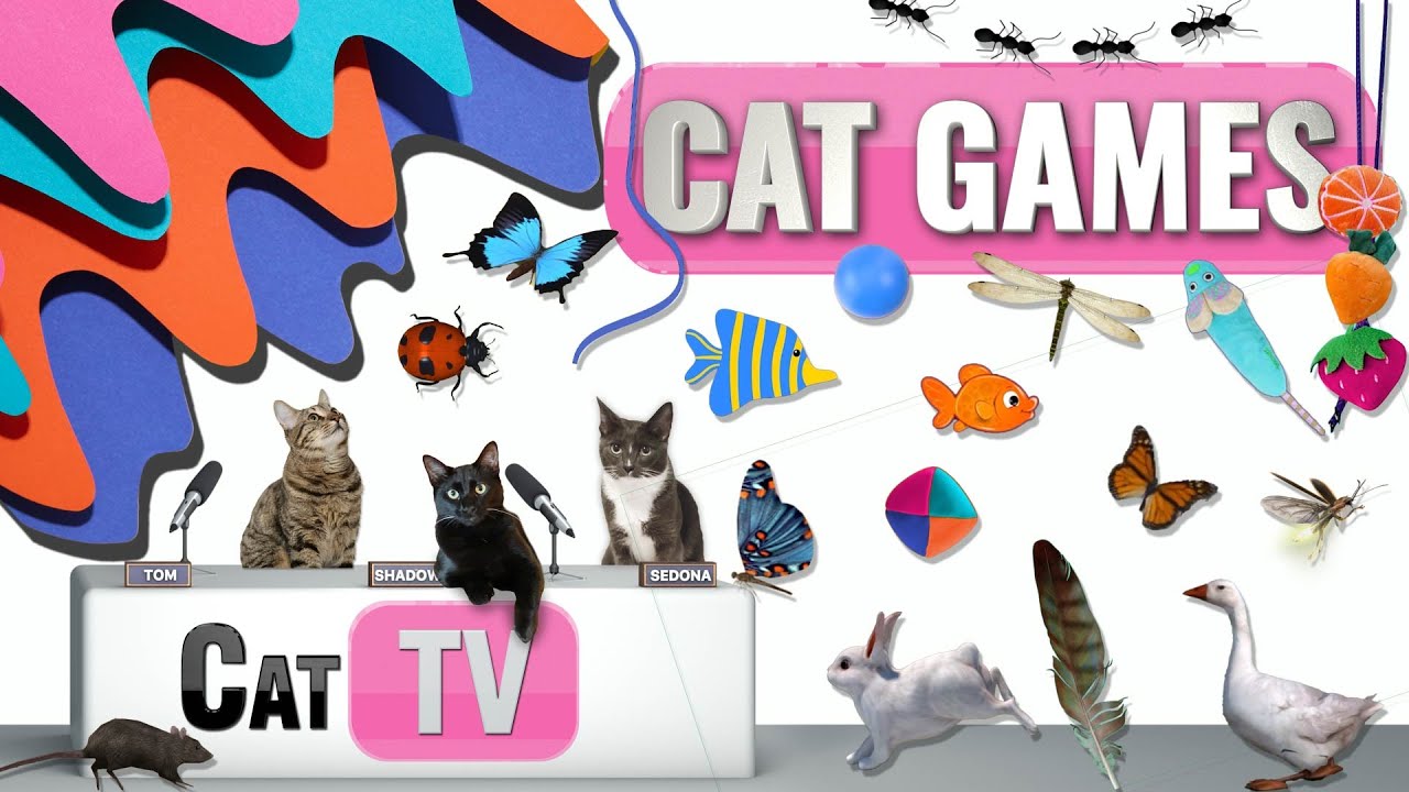 КОТ-игры | Лучшая подборка Cat TV, том 39 | 2 ЧАСА 🐝🐞🦋🦎🦜🐜🐭🧵